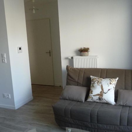 Pour Visiter Ou Travailler Dans Le Loiret Apartment แซงต์-ฌอง-เดอ-เบรย์ ภายนอก รูปภาพ