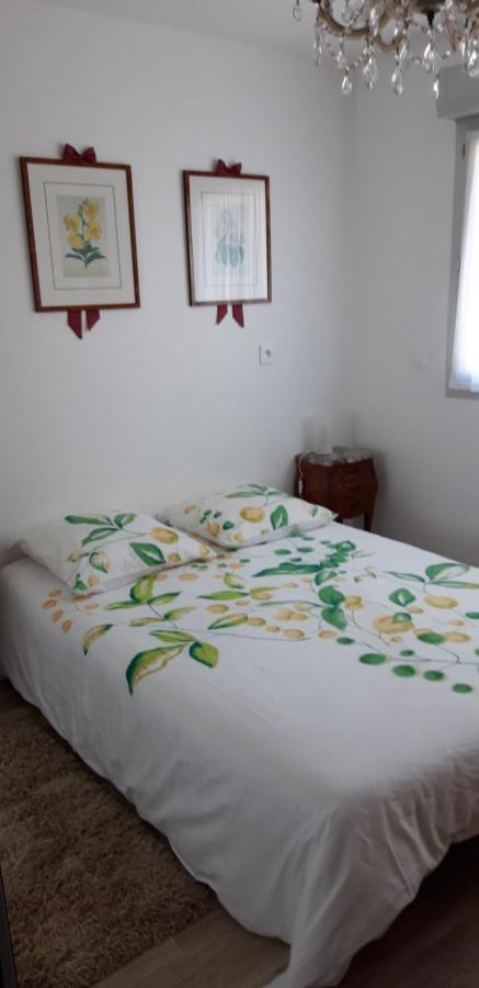 Pour Visiter Ou Travailler Dans Le Loiret Apartment แซงต์-ฌอง-เดอ-เบรย์ ภายนอก รูปภาพ