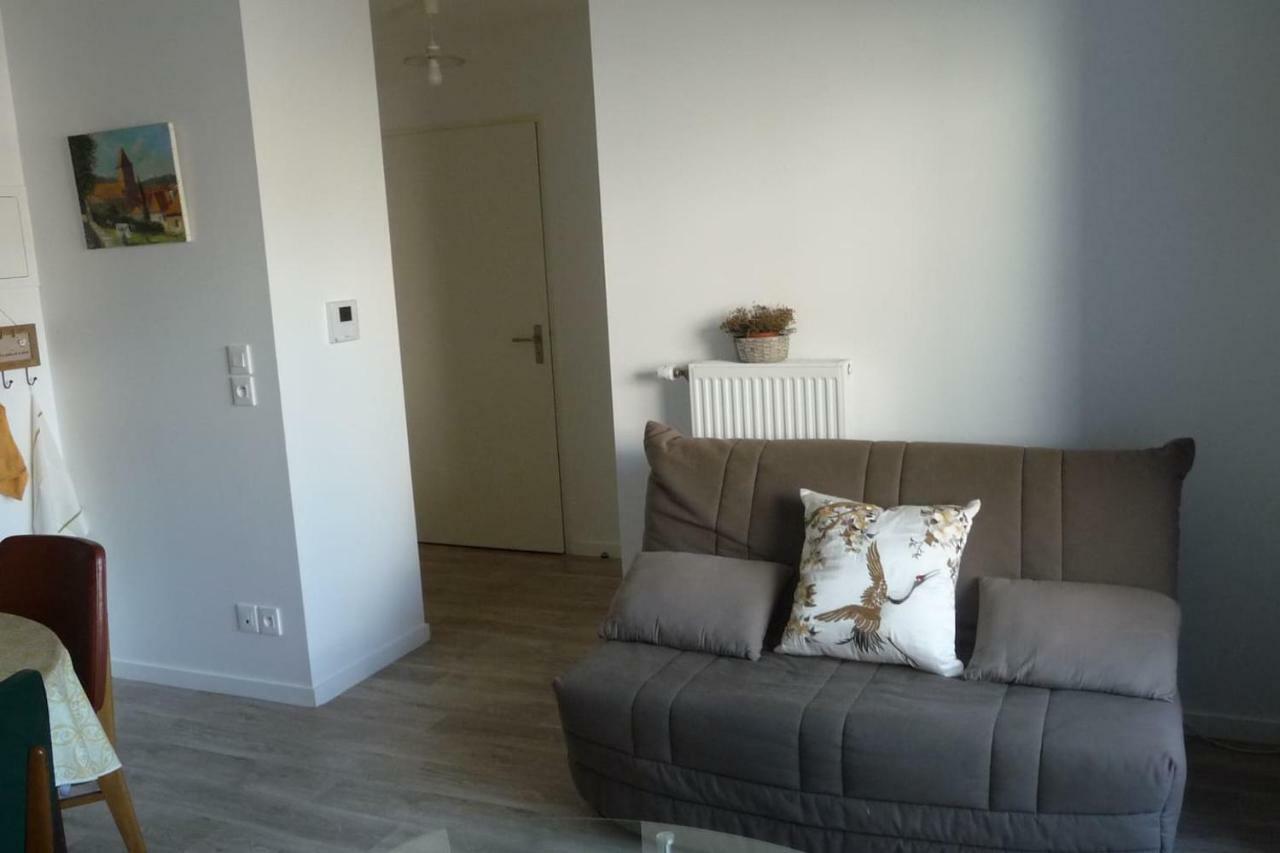 Pour Visiter Ou Travailler Dans Le Loiret Apartment แซงต์-ฌอง-เดอ-เบรย์ ภายนอก รูปภาพ