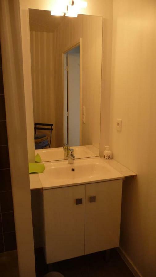 Pour Visiter Ou Travailler Dans Le Loiret Apartment แซงต์-ฌอง-เดอ-เบรย์ ภายนอก รูปภาพ
